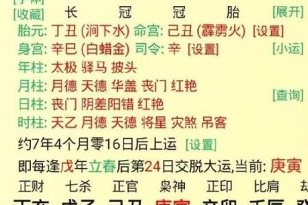 免费查询自己生辰八字命格 无费查阅个人生辰八字命格