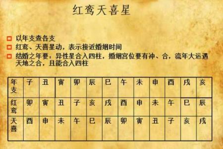 己亥戊午八字命理解析详解 己亥戊午八字命理全景解读